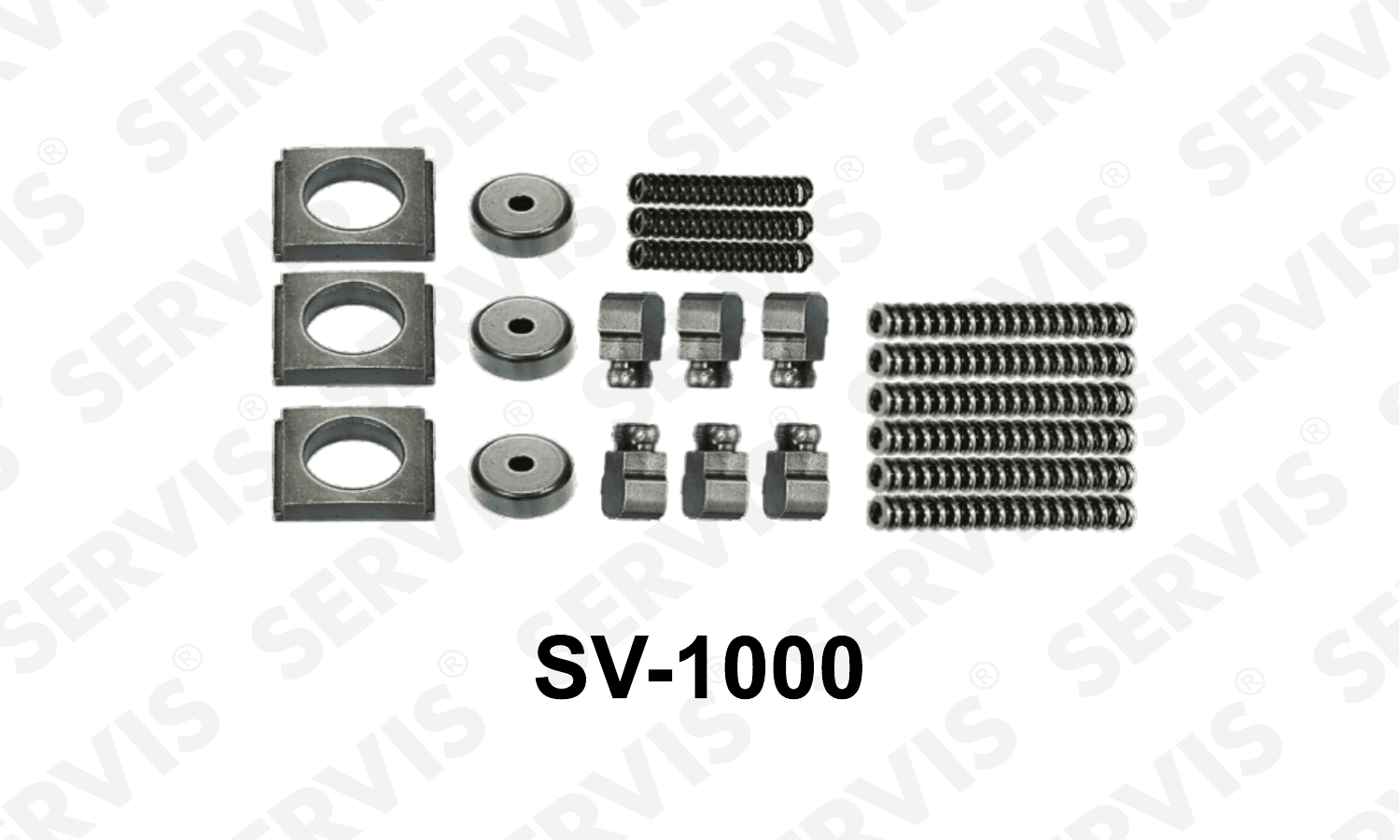 SV-1000