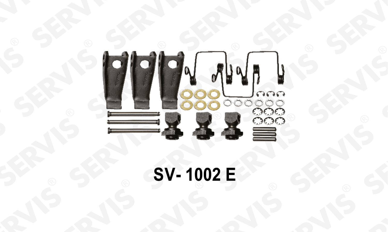 SV-1002E