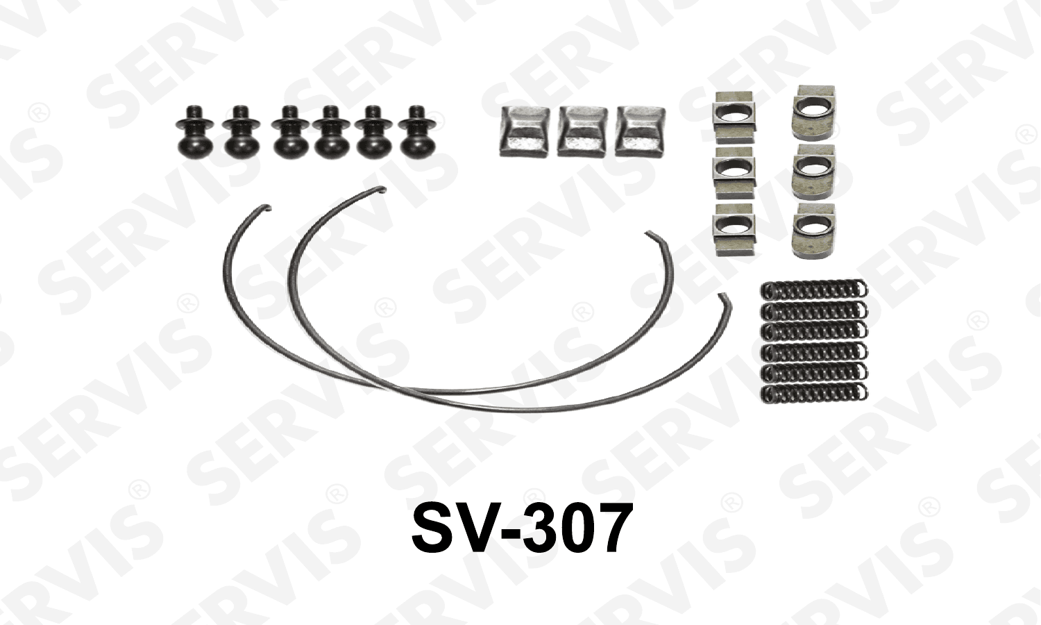 SV-307