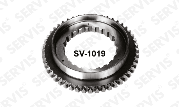 SV-1019
